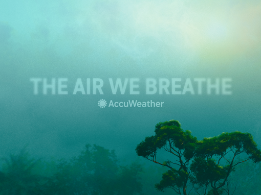 The Air We Breath